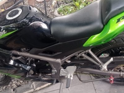 Ninja RR