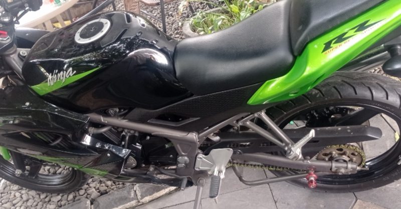 Ninja RR