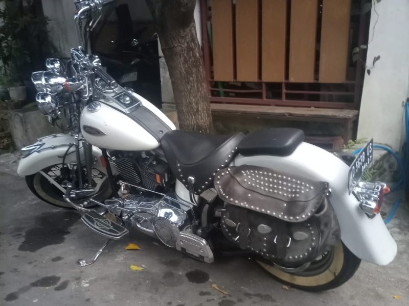 Softail Springer