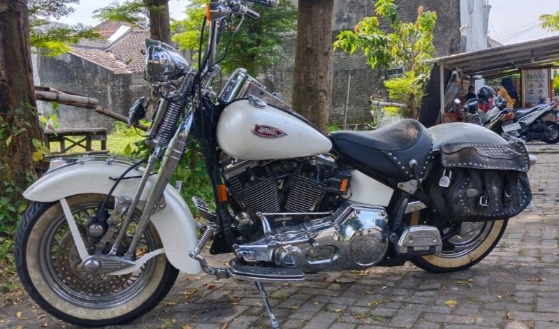 Softail Springer