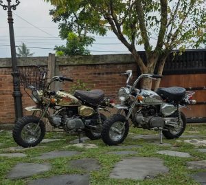 Honda monkey 