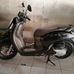 Honda Scoopy solo